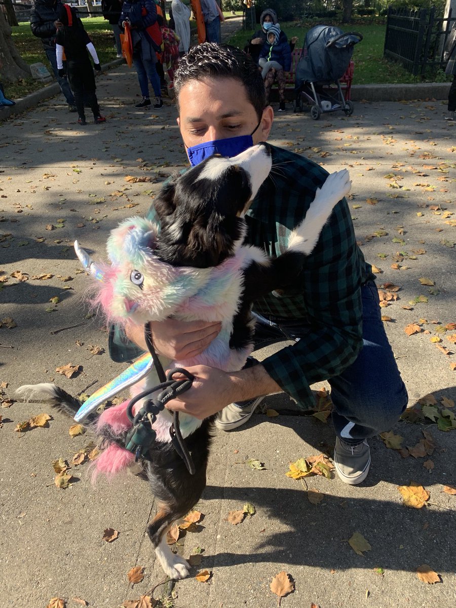 TomZuppaJC's tweet photo. Happy Halloween from my little unicorn who had a full day at #CancoPark and #PershingField https://t.co/FMIj3MBt3i