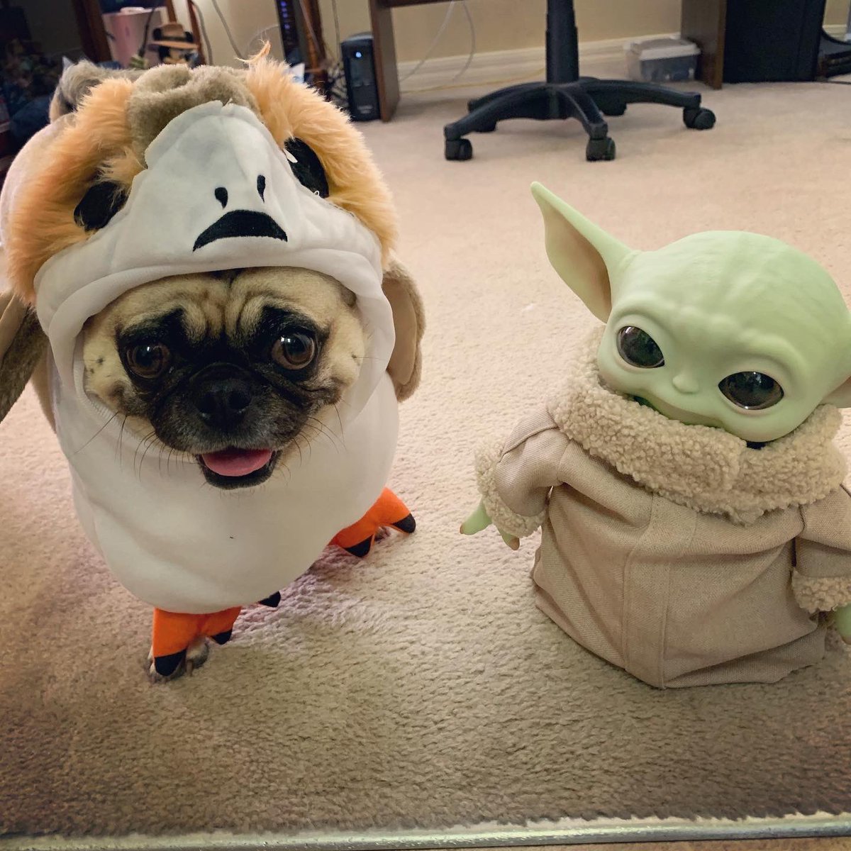 PlanetaryBoogie's tweet photo. Baby Ahsoka dressed as a Porg for Halloween and went looking for treats with Baby Yoda! https://t.co/qNfXSxAVgm