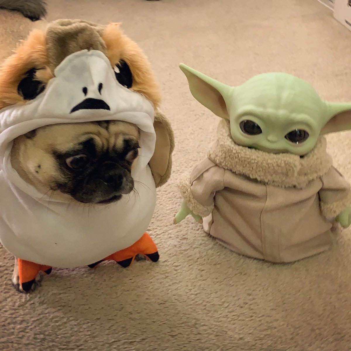 PlanetaryBoogie's tweet photo. Baby Ahsoka dressed as a Porg for Halloween and went looking for treats with Baby Yoda! https://t.co/qNfXSxAVgm
