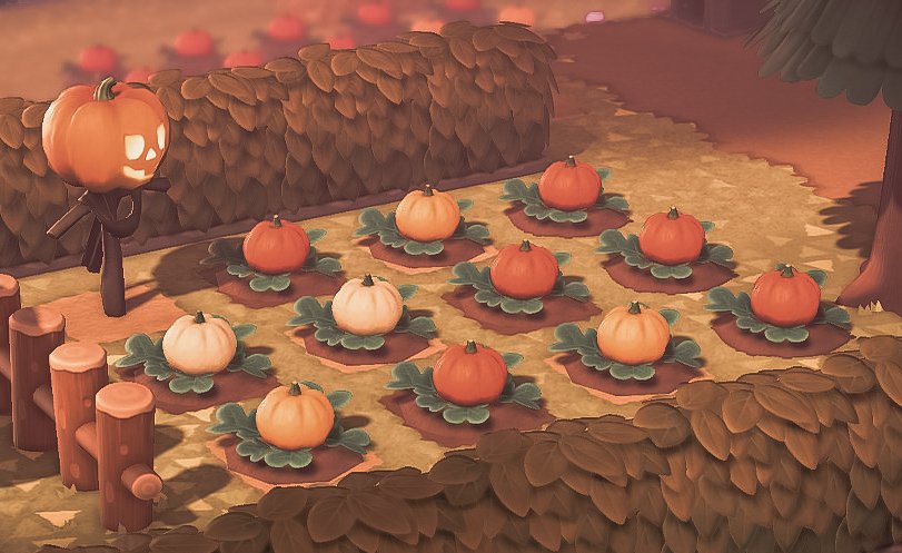 7 | Pumpkins We associate pumpkins with Halloween. This is because of Irish emigration to America, who brought Halloween traditions with them. However, they could not find turnips to use for the ritual, and the closest thing they could find were pumpkins! The rest is history. 