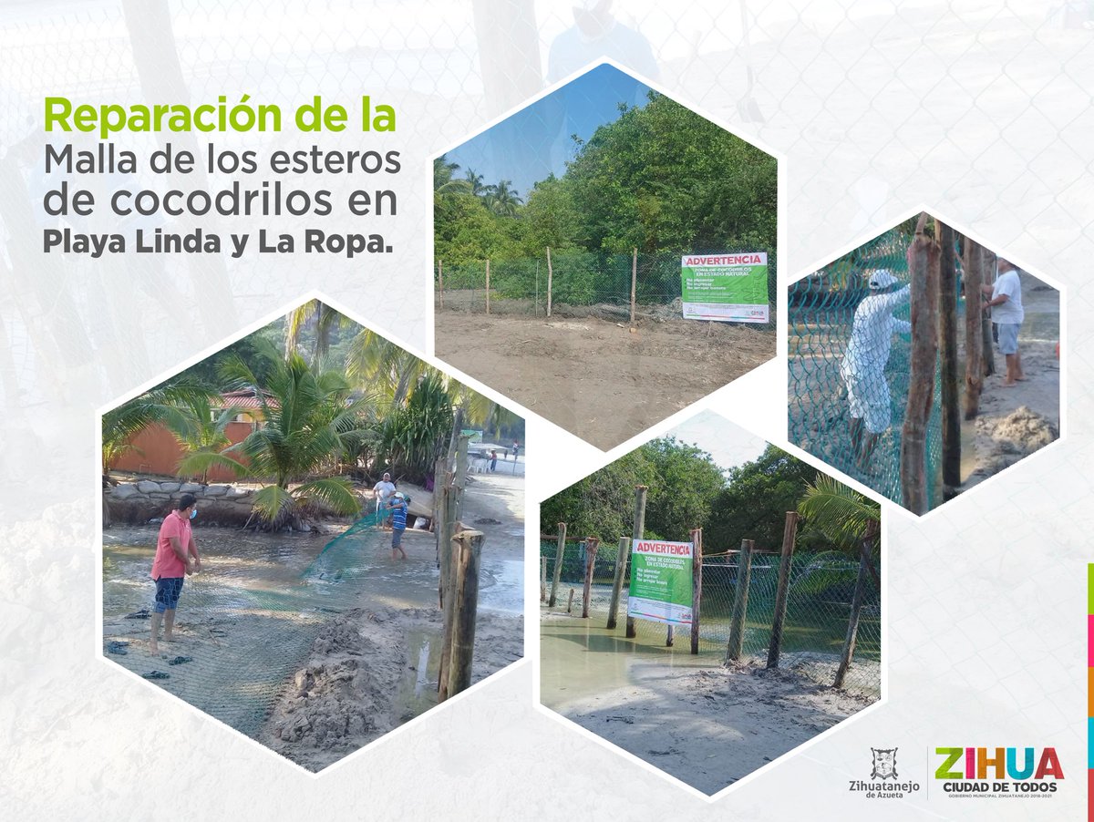 Gob_Zihuatanejo's tweet photo. A través de la dirección de Ecología se rehabilitó cerco perimetral en los esteros de playa Linda y La Ropa. Se reemplazó todo el material por nuevo, como son postes, malla, la cual fue reforzada por cable de acero. https://t.co/bstKN2dQLL