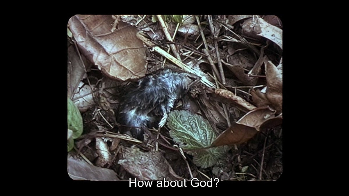 the great thing about this movie is that it is simultaneously extremely tight and extremely dense. almost any given shot feels like its rosetta stone