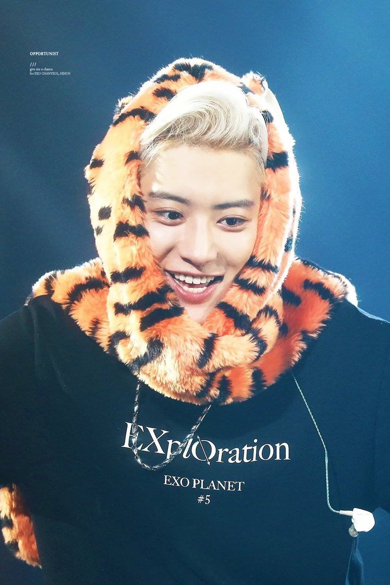 pcysarchive's tweet photo. ♡ ♡ ♡ https://t.co/FuPLxWNaV9