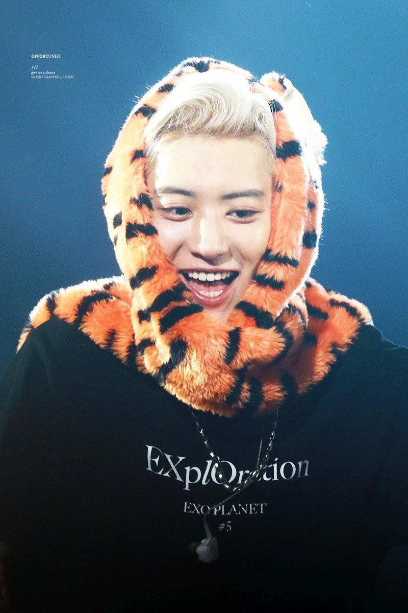 pcysarchive's tweet photo. ♡ ♡ ♡ https://t.co/FuPLxWNaV9
