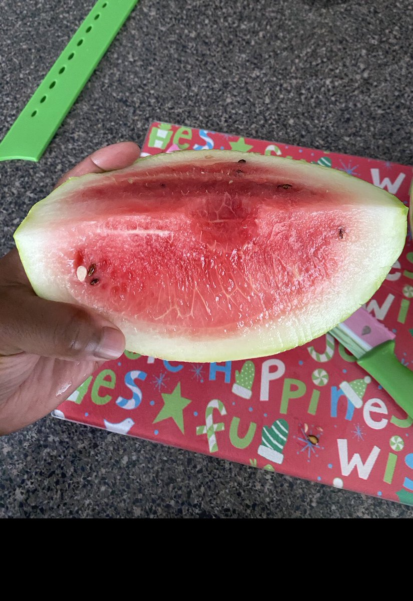 Next we have watermelon. Watermelon are also pretty easy to grow but boy do they need a lot of water! They need multiple gallons a day. I grew two different kinds. They were really small but they were so juicy and sweet!