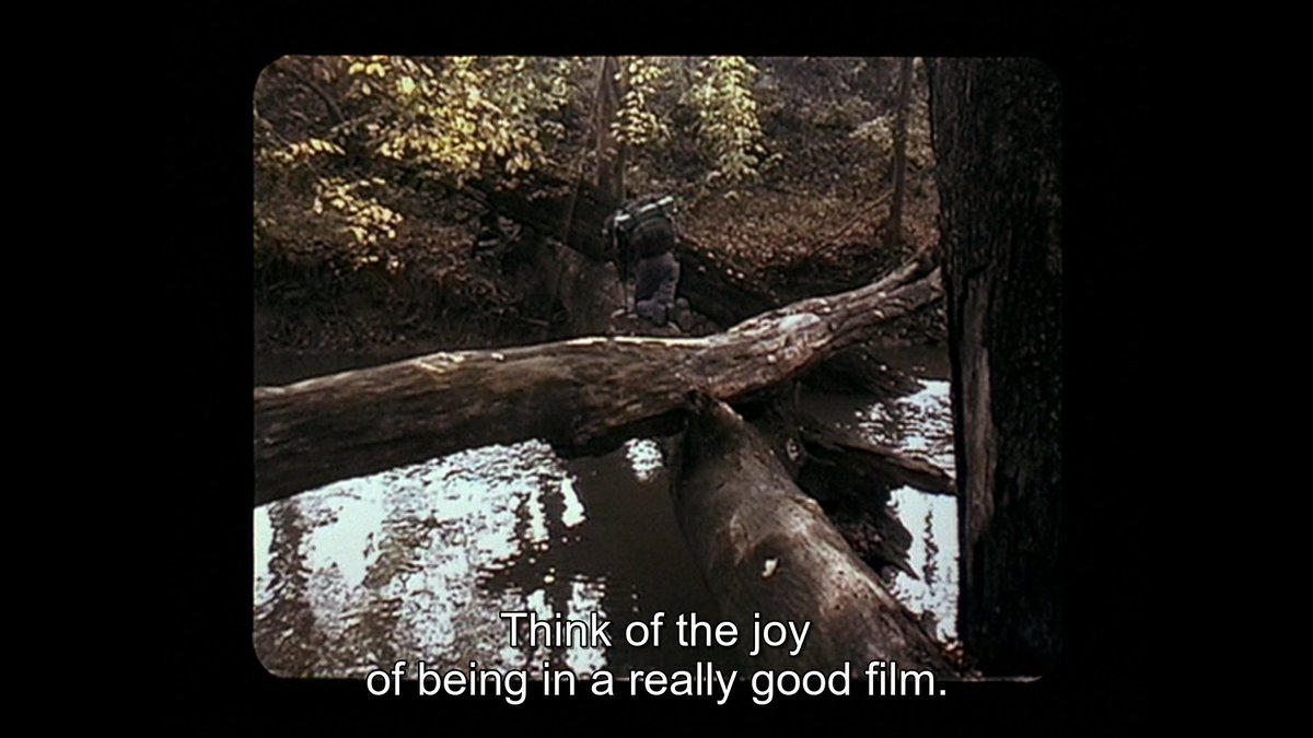 the number of times this bleeds into irl and vice verse is immensely moving somehow for me. although as noted above none of them ever expected this to go beyond a low-budget video, which contributed a bit to the shakiness & resultant nausea some people felt from the big screen