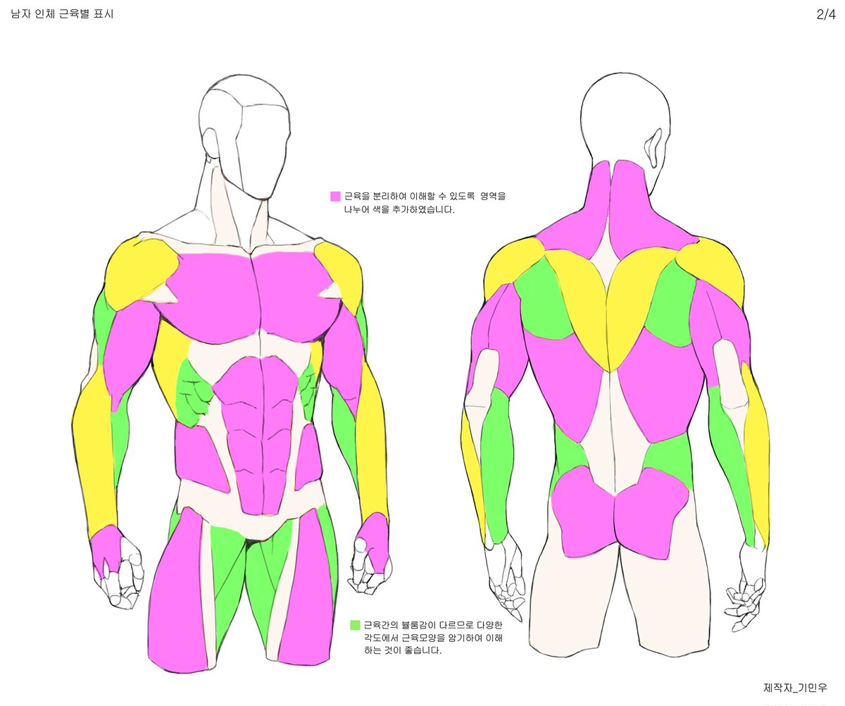 [인체 드로잉]남자 인체_상체 기본기 튜토리얼(상편) #남자 #인체드로잉 #drawing #바디연습 