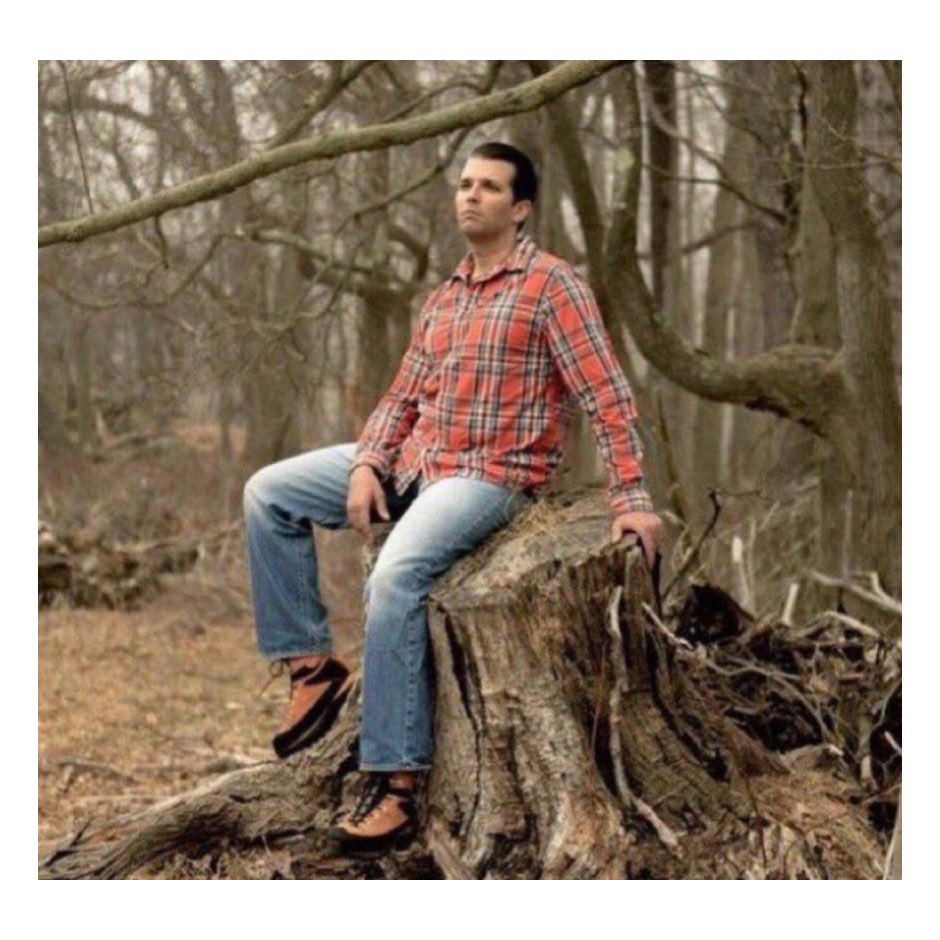 Really wanted to scare the neighborhood children this year, so I give you slutty Don Jr on a stump.
