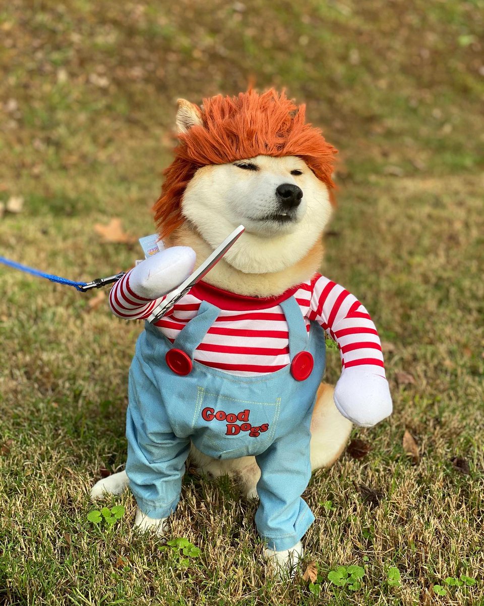 mmeganred's tweet photo. Happy Halloween from my son https://t.co/RI1NndTT9X
