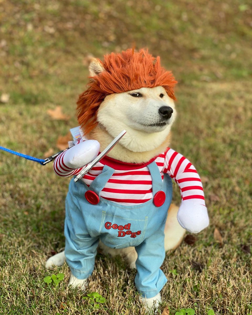 mmeganred's tweet photo. Happy Halloween from my son https://t.co/RI1NndTT9X