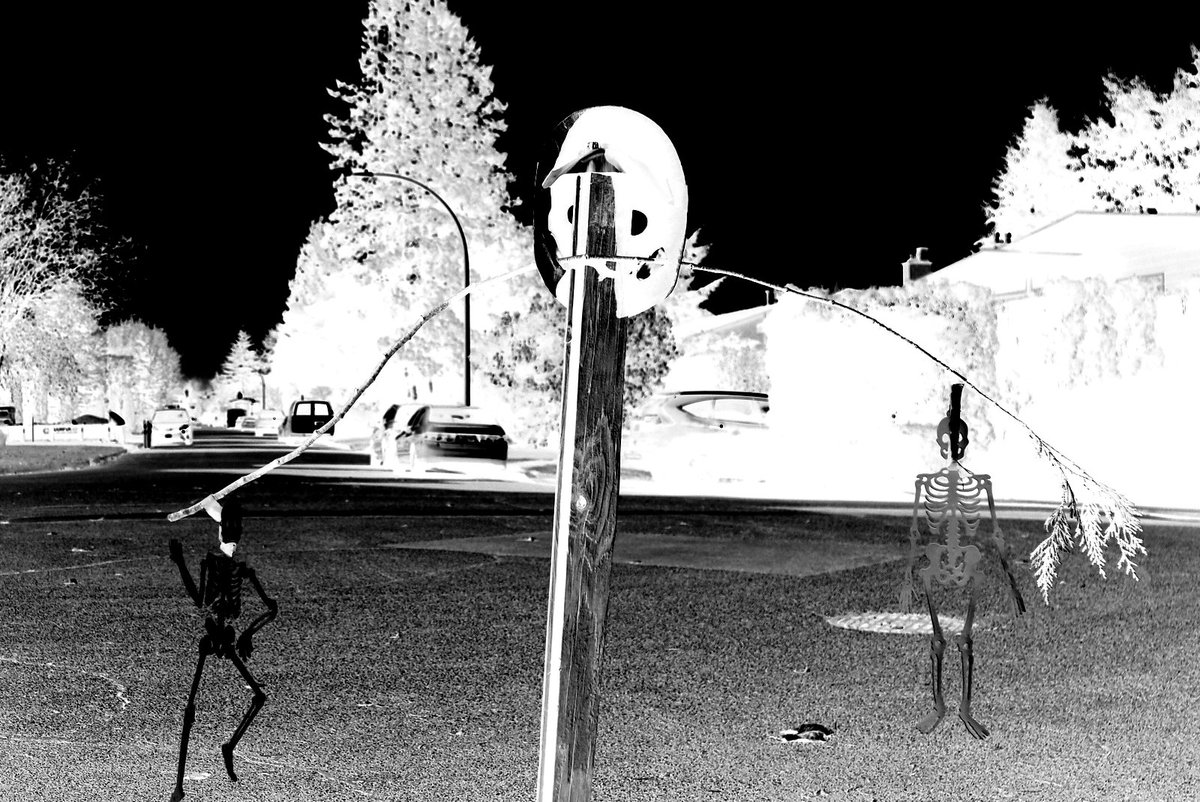 サカタ カナダ ハロウィーン 始まった 最初の子がなんともののけ姫のサン ちゃんとあのお面と白髪を頭にのせた5歳くらいの子がきた もののけ姫じゃん 知ってるの オフコース Mommy They Know Princess Mononoke ーーいやー