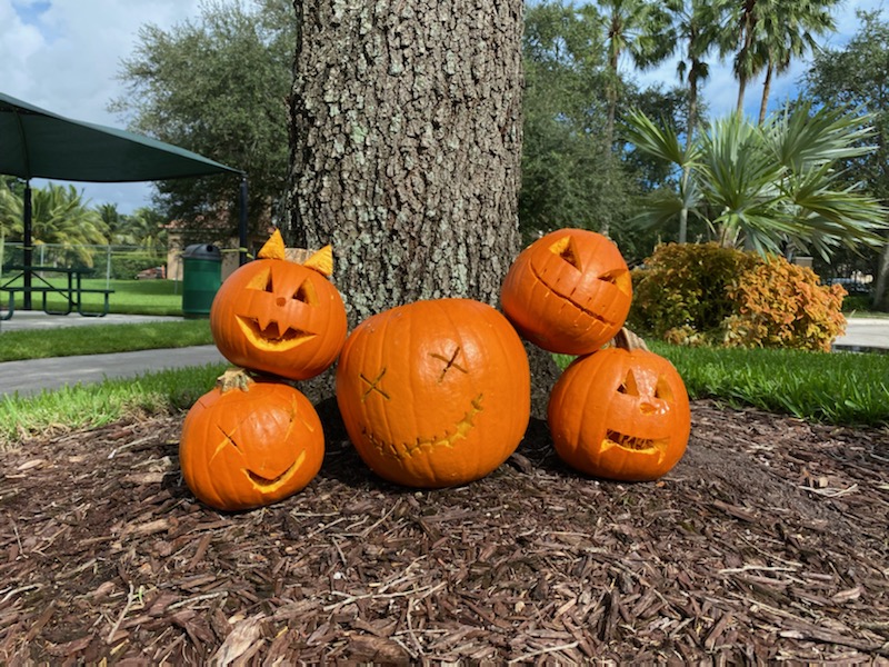 Sofia_p4's tweet photo. Orange madness!🧡
#MLECboo https://t.co/mFXGw46ZI5