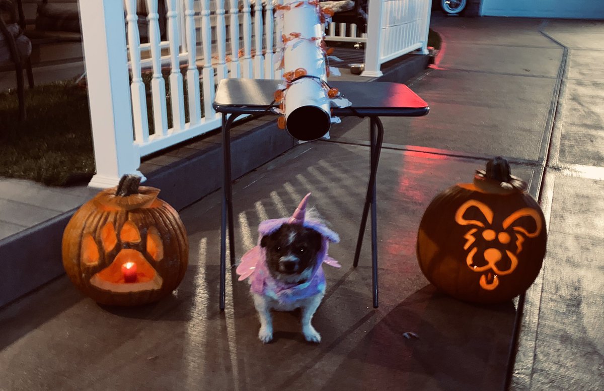 WendyC518's tweet photo. 🎃👻Happy Halloween👻🎃 https://t.co/4At4g4zW4x