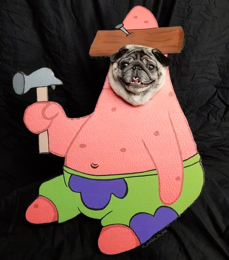 Is mayonnaise an instrument?😬⭐ #Halloween2020 
Instagram.com/lil_pickles_da…