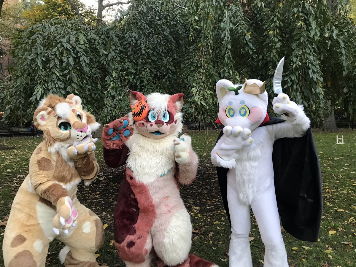 sproutskitty's tweet photo. happy HOWL-oween !!! from yours truly da KAT KREW !!!!! 🎃👻🧛✨

📸 - @sunniiside 
👔- @JuicySuits / @starryKC / @BattitudeStudio https://t.co/MySfpp0X4Q