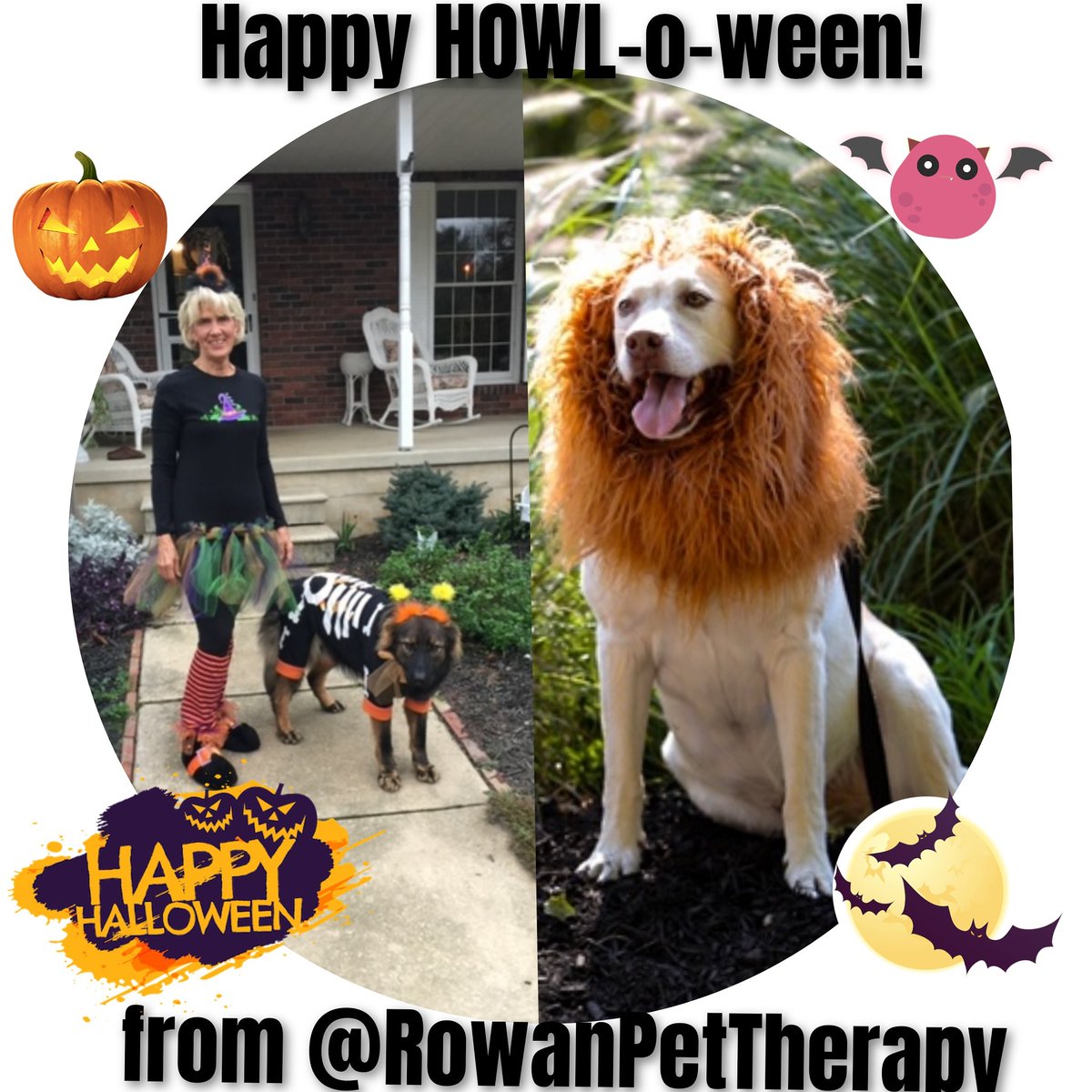 RowanPetTherapy's tweet photo. Wishing everyone a Happy HOWL-o-ween from Cody &amp; Beau the therapy lion &amp; therapy skeleton from the Shreiber Family Pet Therapy Program @rowanpettherapy @rowanuniversity!

#therapydogs #howloween #RowanDogs #ShreiberDogsAtRowan #ProfPups #RowanUniversity #RowanTherapyDogs https://t.co/CIdyUeC7Ap