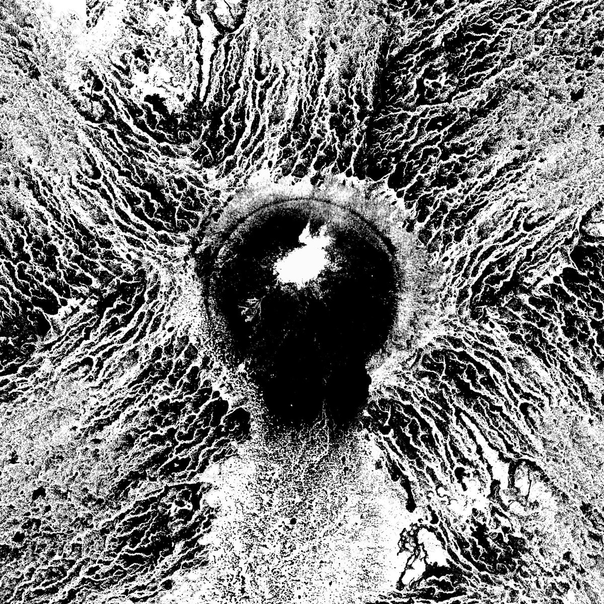 THEERUINER's tweet photo. No. 31 • ink and digital #inktober #inktober2020 #notreallyinktober #ink #drawing #illustration #art #adrawingaday #notheme #reticulation #inktextures #lastone https://t.co/IX1EBitXV9
