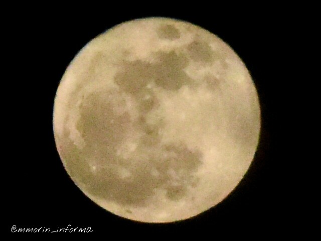 Mmorin_informa's tweet photo. La súper luna de día de Halloween en Caracas https://t.co/sUpXXZgtv6