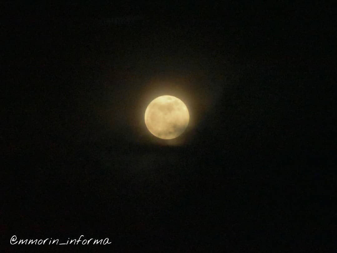 Mmorin_informa's tweet photo. La súper luna de día de Halloween en Caracas https://t.co/sUpXXZgtv6