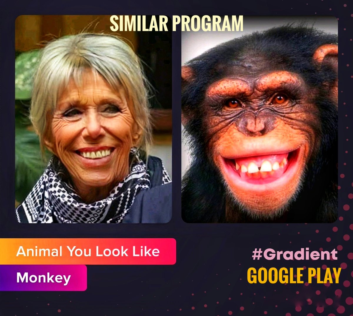 DrMohammadMous2's tweet photo. @EmmanuelMacron Don't hold me responsible and don't accuse me of terrorism.
That's what the "Like Animals" program set out on Google Play. https://t.co/e9I8eJHEGS https://t.co/l6kNYKb56t