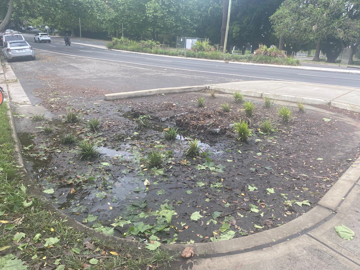 By Tuesday morning it was visibly clogged and the entire bunded 'basin' was full of mud. If not actively maintained soon, it will be as good as useless when the next downpour comes.