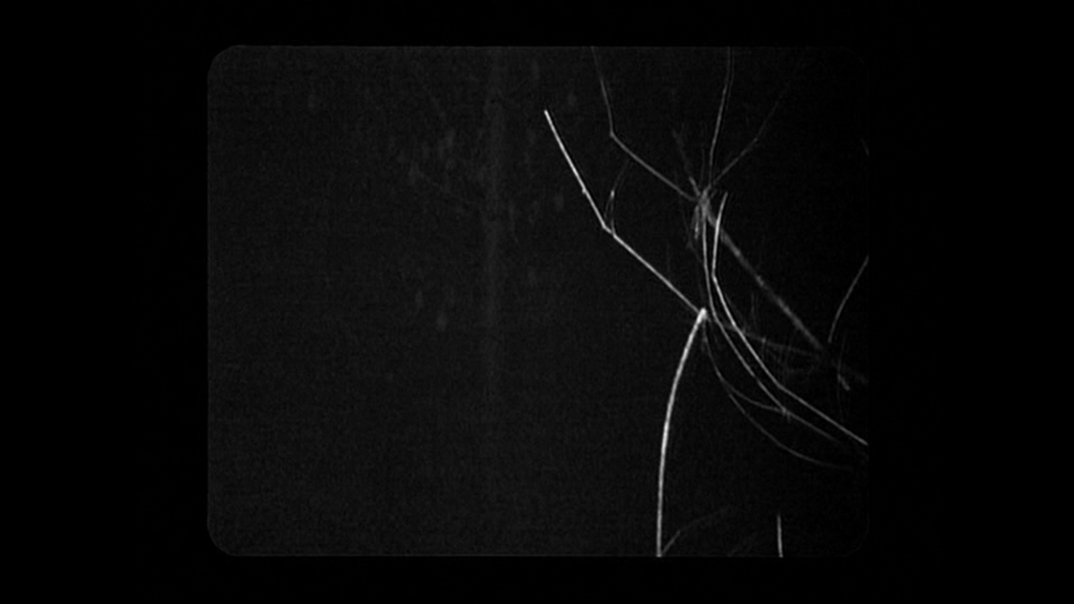 Extremely Defined Images to Offer Reassurance and Certainty