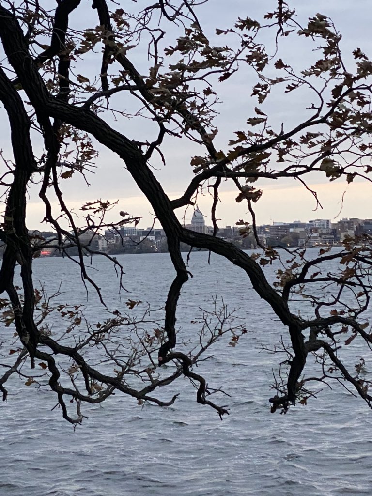 toddallbaugh's tweet photo. We have arrived at my favorite night of the year. #DaylightSavingsTimeEnds #AnExtraHourOfSleep Or as we say in the RC, “extre.” #HappyHalloween from Picnic Point @UWMadison. https://t.co/5paNNykyuw