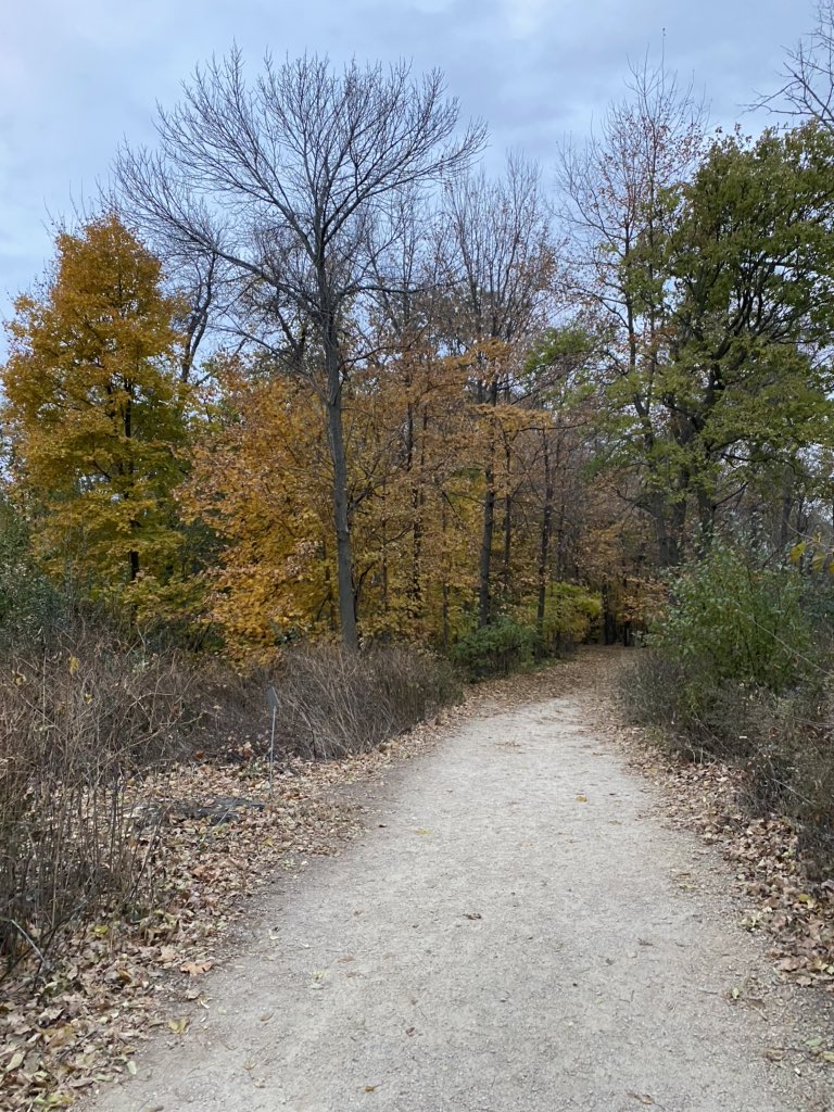 toddallbaugh's tweet photo. We have arrived at my favorite night of the year. #DaylightSavingsTimeEnds #AnExtraHourOfSleep Or as we say in the RC, “extre.” #HappyHalloween from Picnic Point @UWMadison. https://t.co/5paNNykyuw