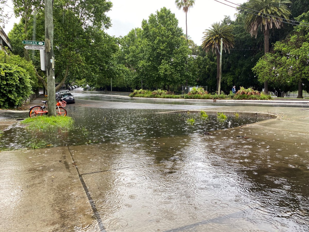 That next heavy downpour came this weekend and the drain did, indeed prove to be as predictably good as useless. It might just as well have been a concrete slab for all the water it appeared to drain.