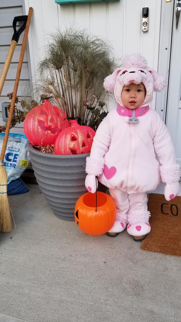 kmcconnell1's tweet photo. Our little "poodle" heading out for Halloween. https://t.co/dzjI8zaUXH