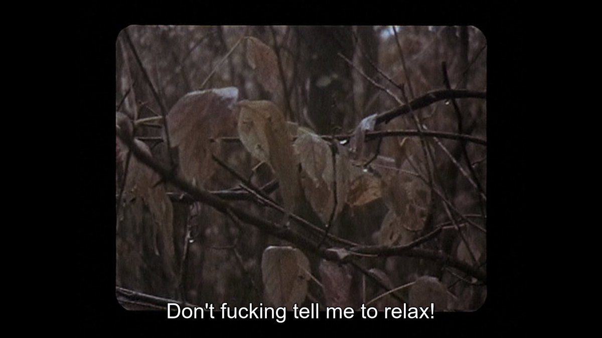 heather turns around to record mike but she doesn't. she records the leaves. there is SO much of this movie where the images are just counterpoint to the dialogue in oblique ways and it's gorgeous