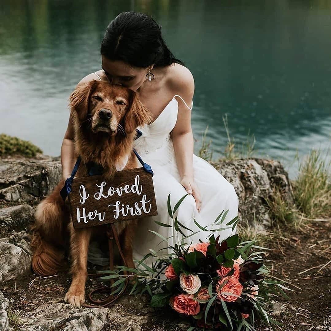 PapermintAU's tweet photo. Oh, we adore this pup 🐶

#instawedding #weddingideas #melbournewedding #destinationweddingphotographer #brisbanewedding #newzealandwedding #dogsofinstagram #puppy #animalsatweddings ( #📷 @breeze.photography )⁣ https://t.co/NsKZ1CTXiL