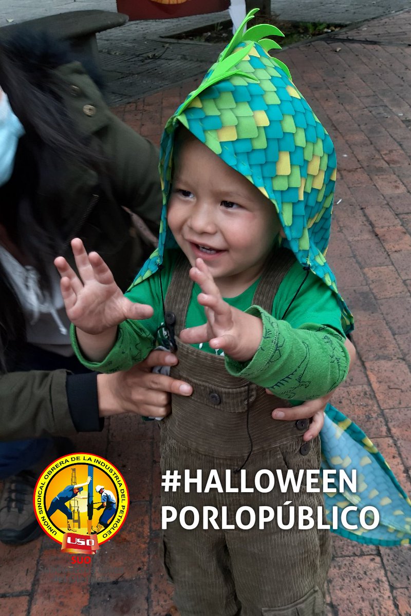 USO-OLEODUCTOS tweet media