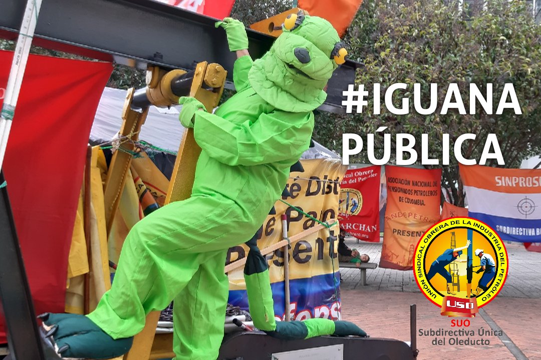 USO-OLEODUCTOS tweet media