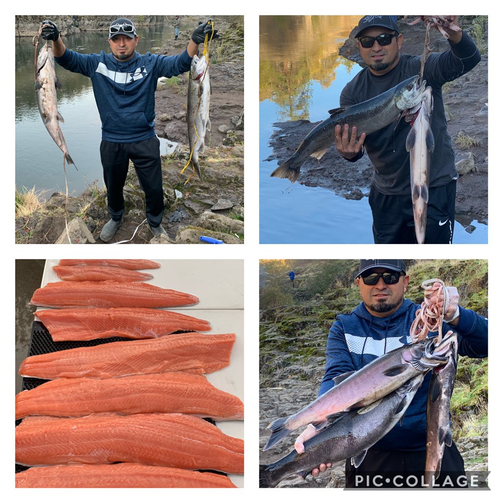 Chawk29's tweet image. Doesn’t get much better than coho fishing at the Klick in October. 🎣🐟
