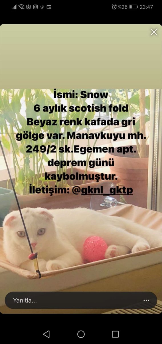 <a href="/fulyaacelebii/">Fulya Fulyiç Oblomov 🇪🇸♥️🇹🇷</a> <a href="/csbgovtr/">T.C. Çevre, Şehircilik ve İklim Dğş. Bakanlığı</a> <a href="/bekirpakdemirli/">Dr. Bekir Pakdemirli</a> <a href="/tcbestepe/">T.C. Cumhurbaşkanlığı</a>