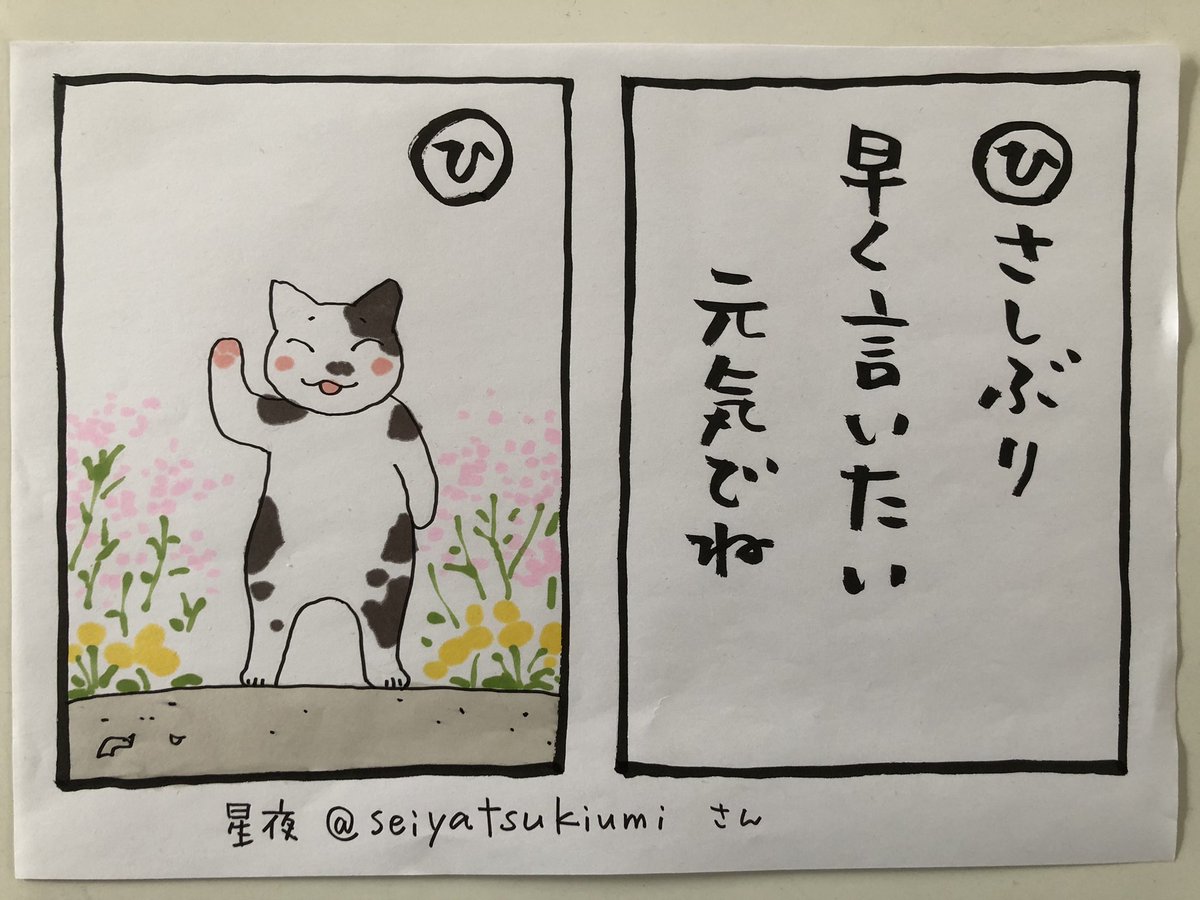 こんにちは
これは、春に寄せていただいた
聖夜@seiyatsukimiさんのお言葉ですが
今もだなと。
なんとか
元気で
ご無事で
#夜廻り猫