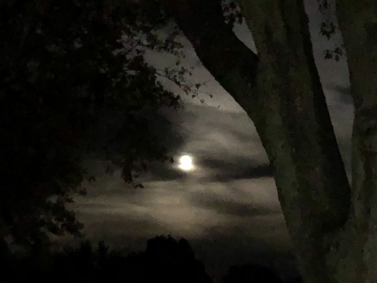 Chuck_Bleyer's tweet photo. What a Halloween night!  #spookyace https://t.co/p50iNqyBSB