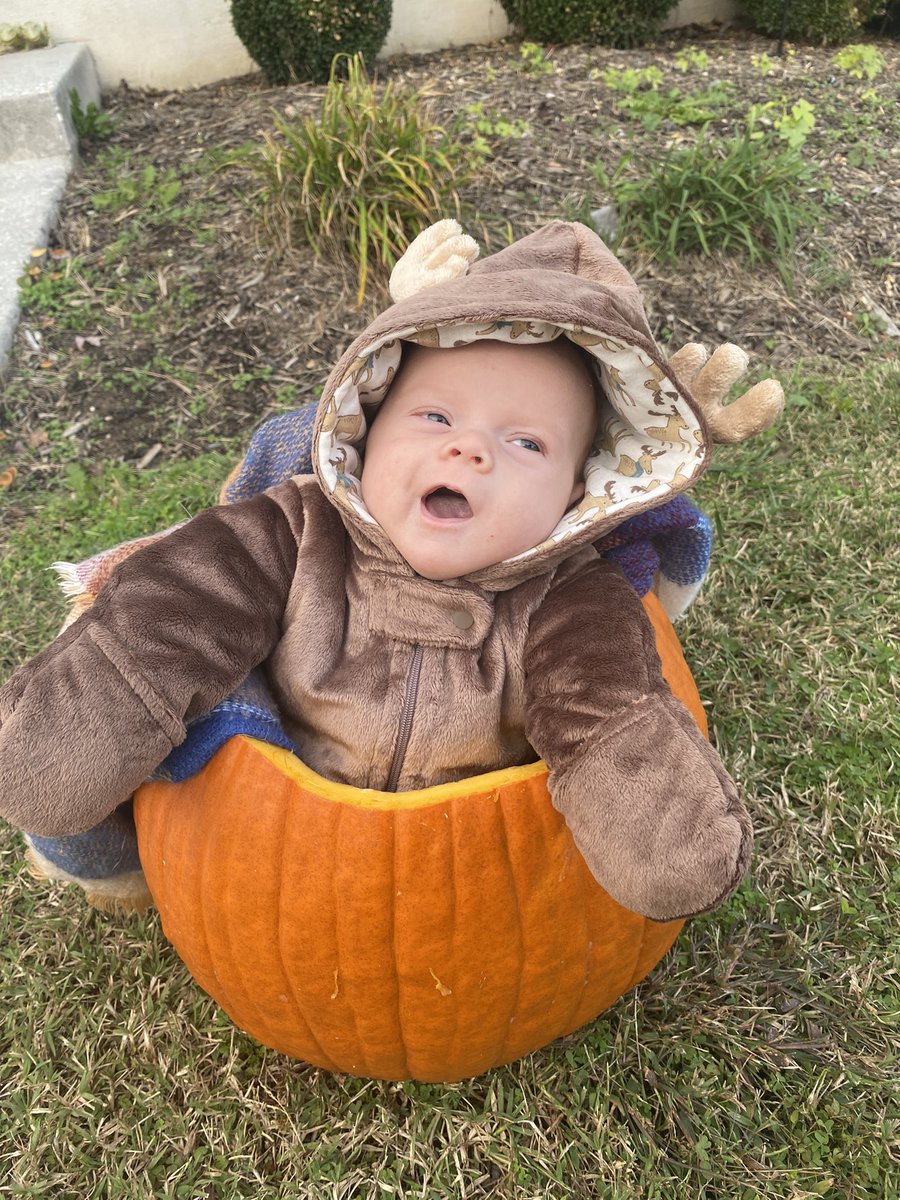 rachhbennett's tweet photo. Baby’s first Halloween 🎃🎃🎃 https://t.co/88dyO29wvC