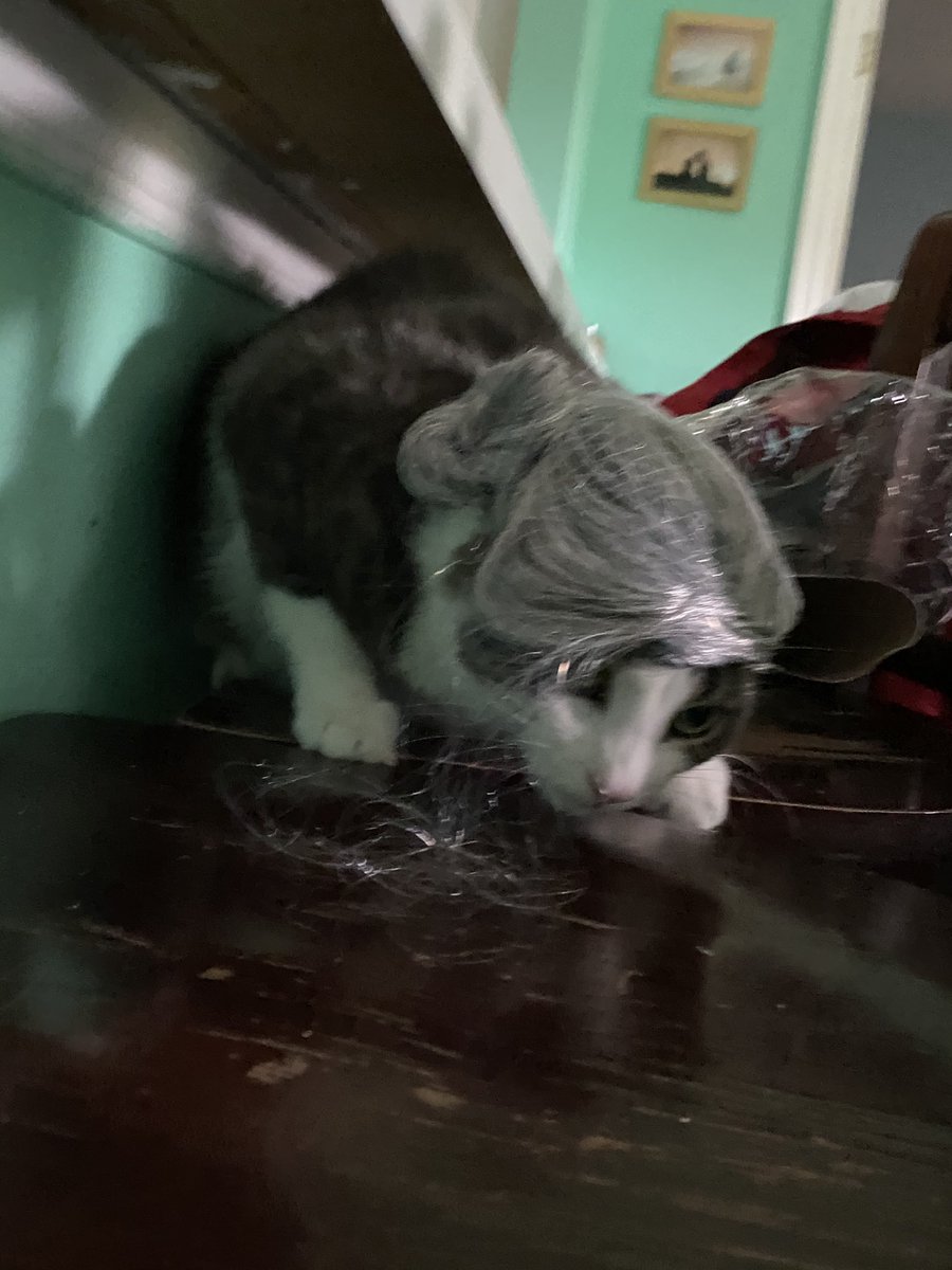 Wishing all those who celebrate a Happy Halloween! Love, Little Red Riding Hood, The Wolf, and Granny! 👻 🎃 🦇