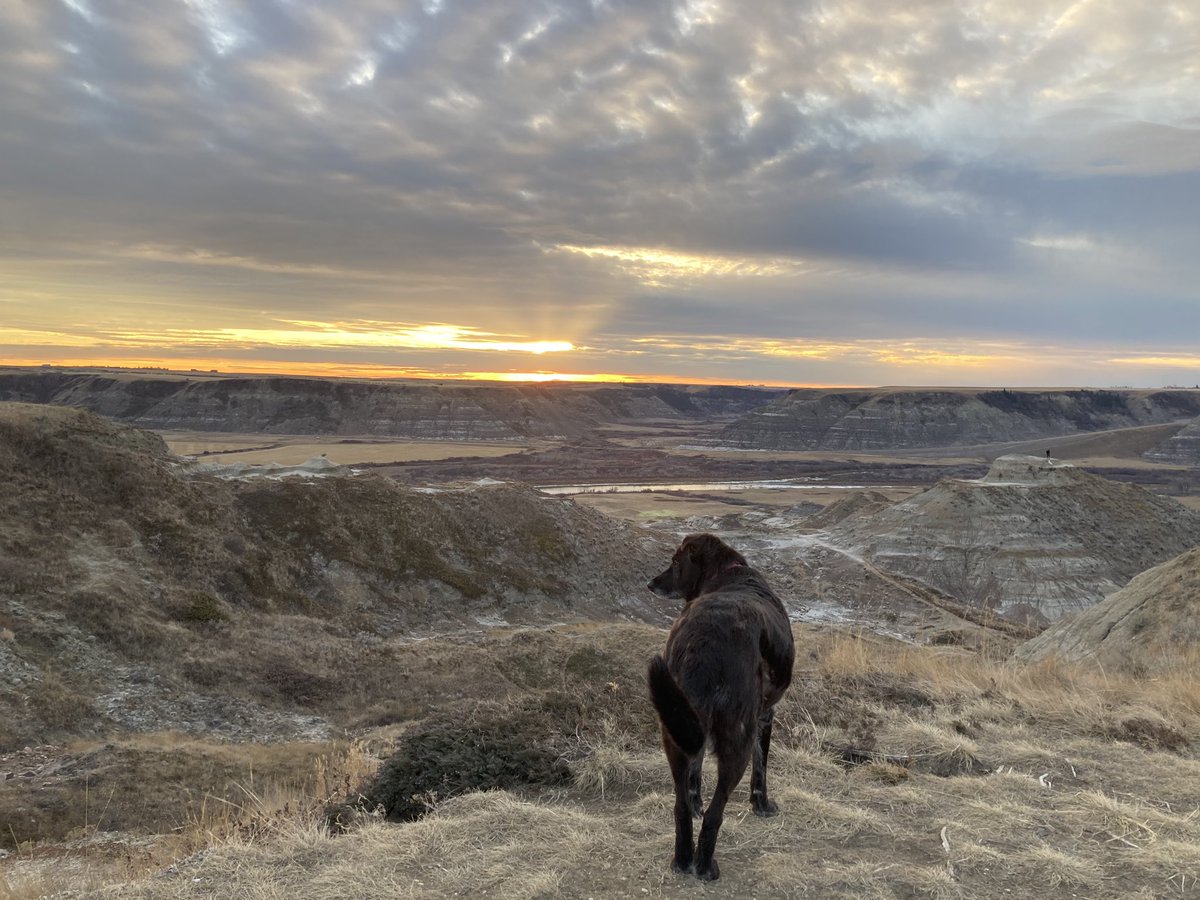 RickCloney's tweet photo. Horse thief Canyon https://t.co/9X11zyd7ZG
