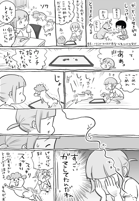 犬と猫どっちも飼ってると、しつけができてもできなくても毎日たのしい 