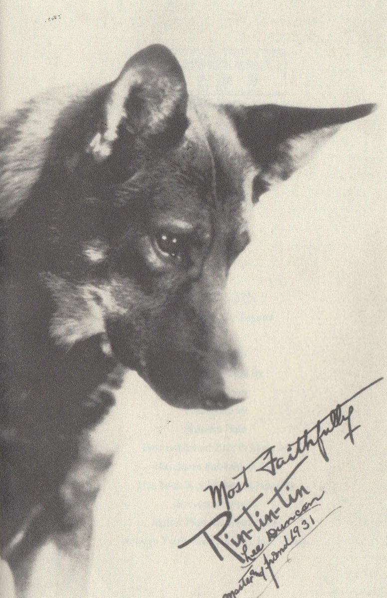 Hazki Hazki 犬の日なので リンチンチン物語 映画スターになった犬 12年早川書房 フランスで拾われた軍用犬の仔犬が 拾った兵士と生涯の絆を結び 映画界で伝説になっていく 昭和生まれには 四代目のtvドラマ 名犬リンチンチン が凄く Hazki Hazki 犬の日なので リンチンチン物語 映画スターになった犬 12年早川書房 フランスで拾われた軍用犬の仔犬が 拾った兵士と生涯の絆を結び 映画界で伝説になっていく 昭和生まれには 四代目のtvドラマ 名犬リンチンチン が凄く