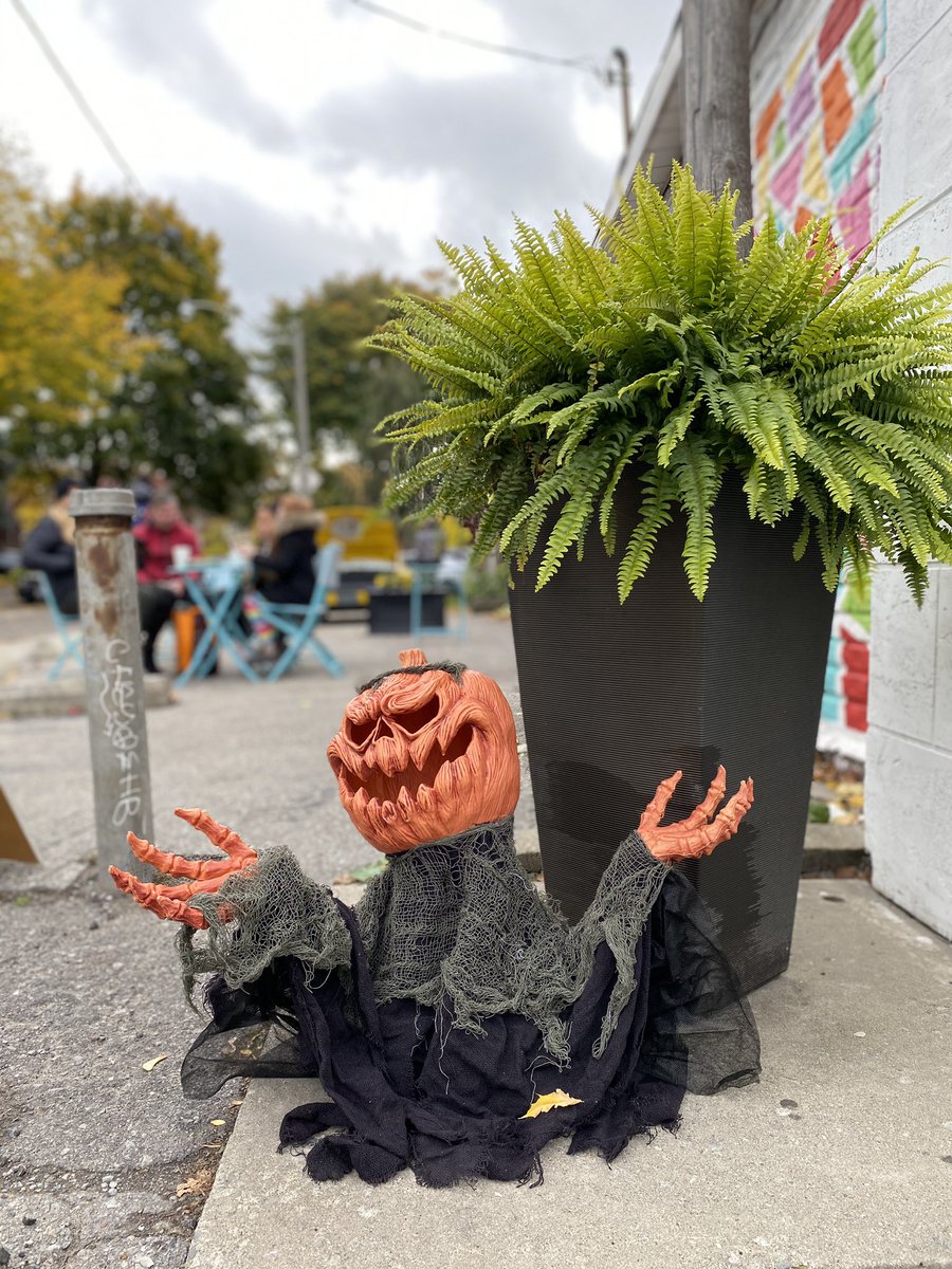 BeachBeatBlog's tweet image. Happy Halloween, Beachers!