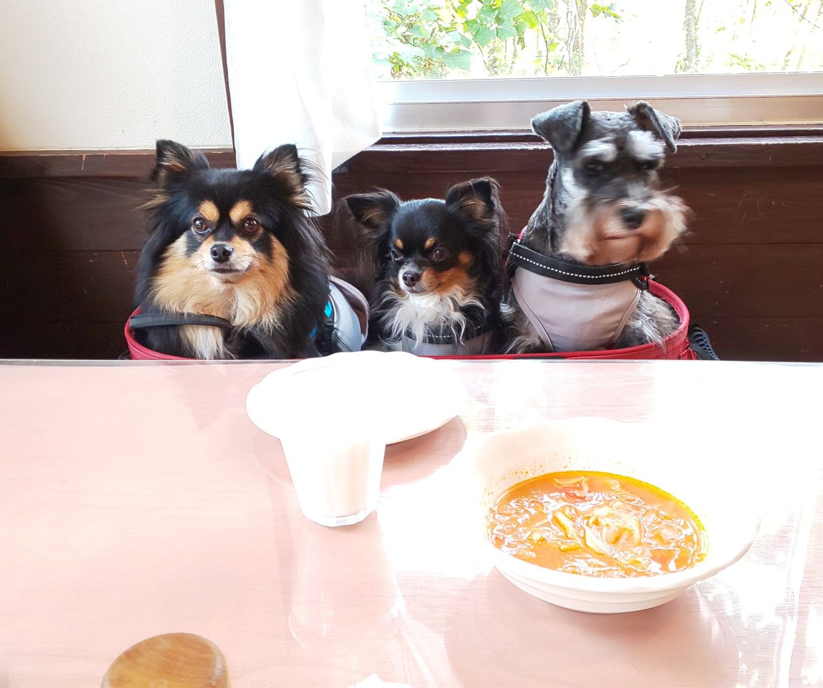 みんなの サーカス 朝ごはん 朝食 おいしい 口コミ 評判 食べたいランチ 夜ごはんがきっと見つかる ナウティスイーツ