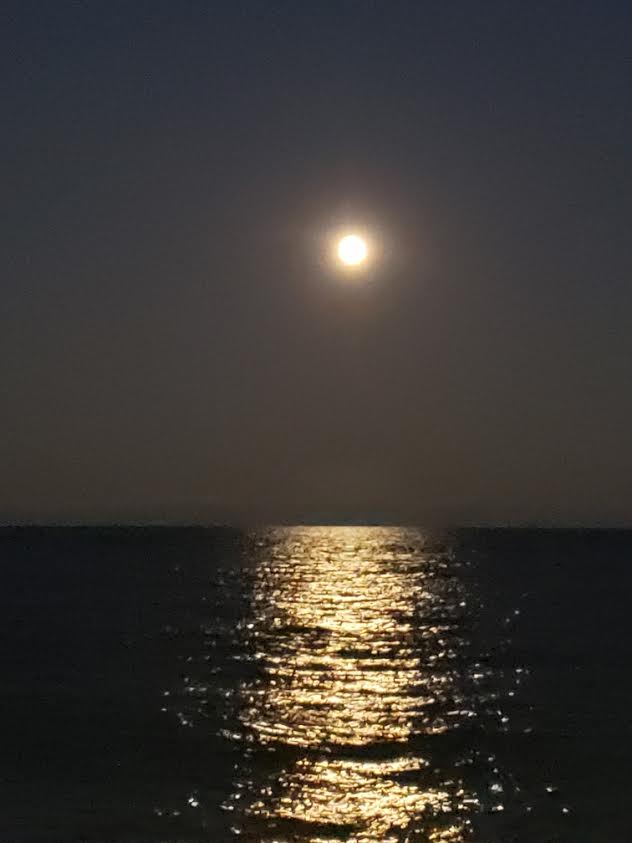 maudlynei's tweet photo. Catch #TheMoon TONITE?
Took a walk to the lake and this is what I was Blessed with: #GodTalking
Not only were there 2 full moons in OCTOBER, but the 2nd — a #BlueMoon — landed right on #Halloween!
Miss it? Catch next one on OCT. 31, 2039!
#CHICAGO #CityByTheLake https://t.co/KqbSC55ryP