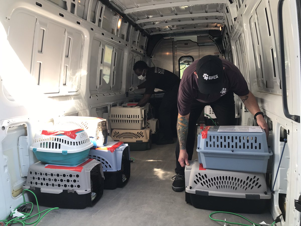 HoustonSPCA's tweet image. Welcome home! 🐱 We are happy to have some new friends from @laspca today ahead of #HurricaneZeta. Thank you for trusting is with the care and adoption of these little critters 💙🐾