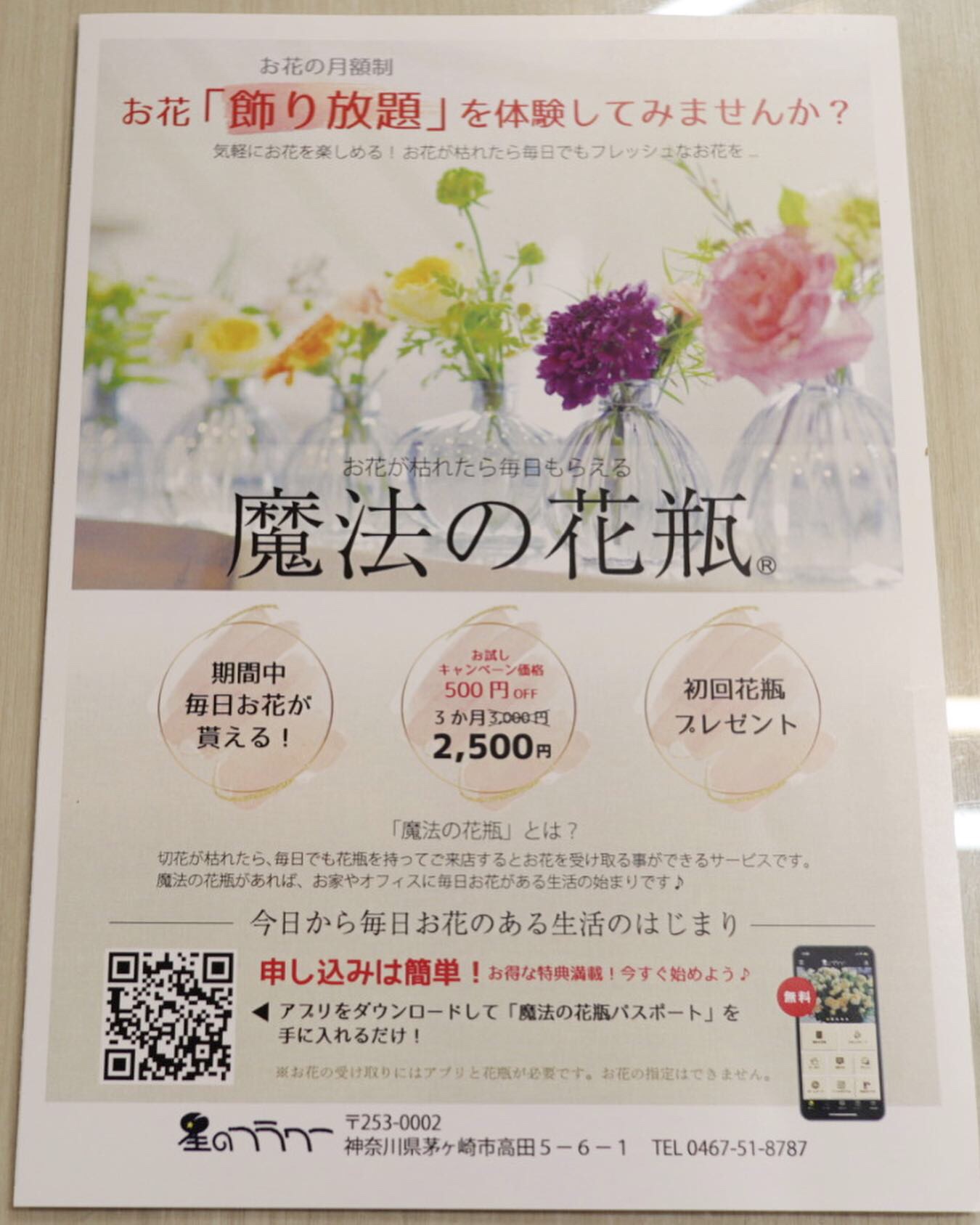 星のフラワー 花屋from茅ヶ崎 星のフラワーのアプリ始めました お買い物スタンプを貯めていただくと嬉しい特典が満載です また お花のサブスク 魔法の花瓶 もスタート 気軽にお花が楽しめる素敵なプランです ぜひアプリ登録して下さい 花