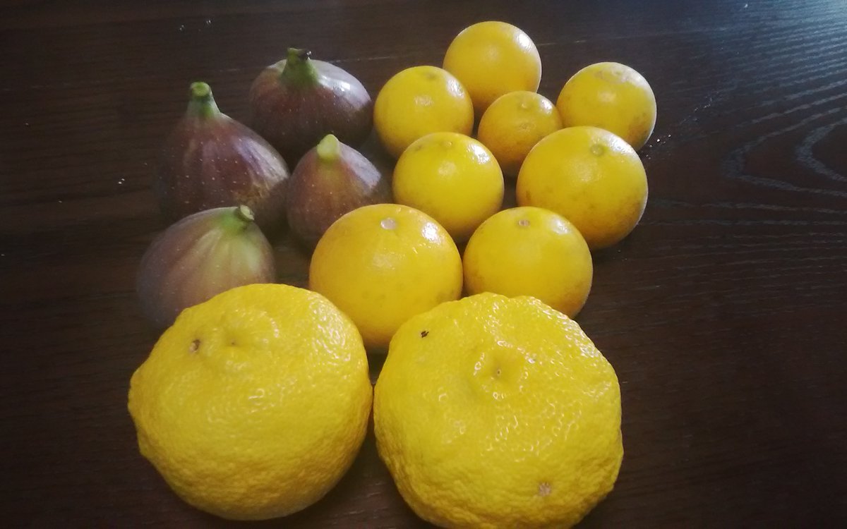 キコク 今日から11月 あと一週間で島倉千代子さんのご命日です 今日は枳殻と無花果と柚子の実を収穫 畑に1本 庭木 に1本ある柚子は当たり年で この大量の柚子をどう使えばいいのかわからない なにか良い方法ないかな