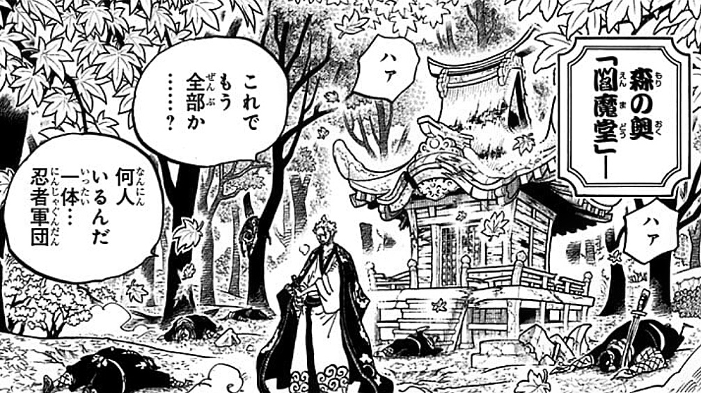 まな 原作で描かれなかった追手 忍者軍団 のアニオリ Onepiece まな 原作で描かれなかった追手 忍者軍団 のアニオリ Onepiece